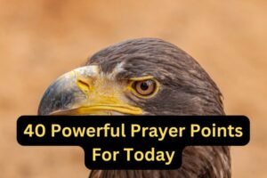 40 Powerful Prayer Points For Today